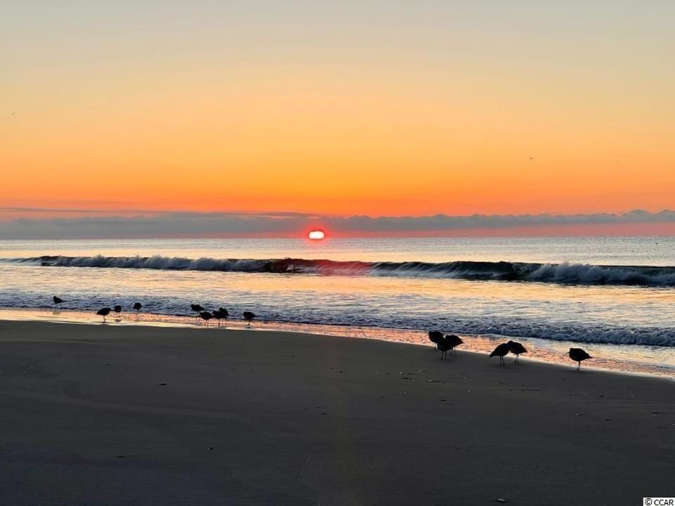 BEACHFRONT First Floor 2BR 2BA Condo in Cherry Grove! Myrtle Beach Esterno foto